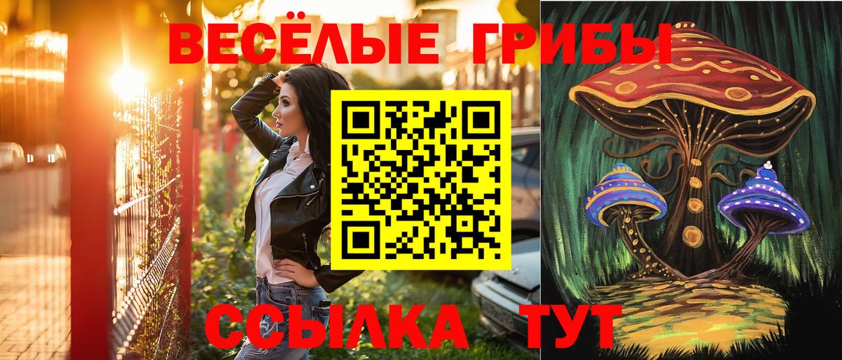 Псилоцибиновые грибы ЛСД  Вход с VPN  Зерноград 