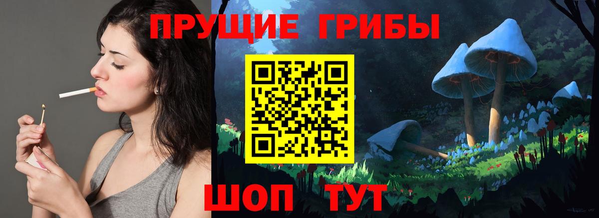 Псилоцибиновые грибы Cubensis Зерноград